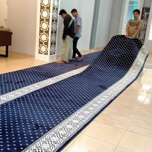 Carpet Inspection
